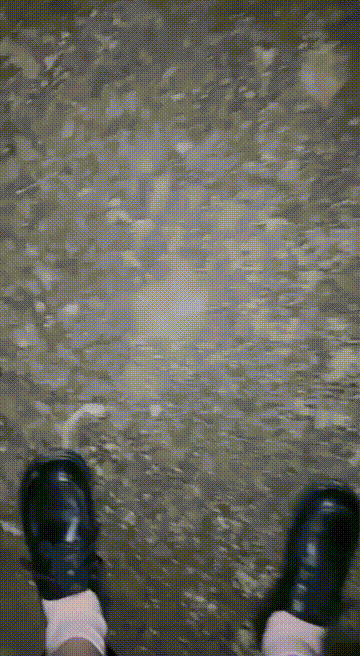 1 (7).gif
