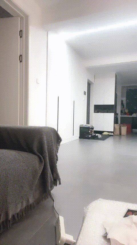 vlc_record_2023_05_25_21h08m22s_cx__(3)_p20.gif