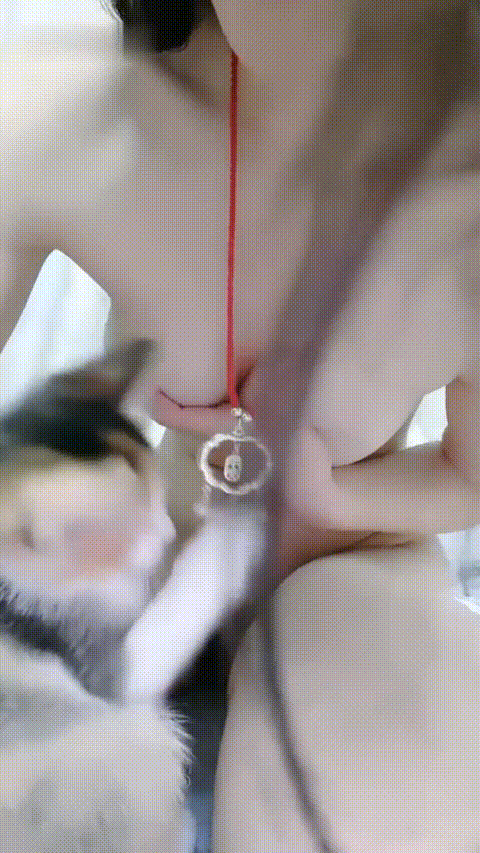 鱼妹_20260306_101953_p80_compressed.gif