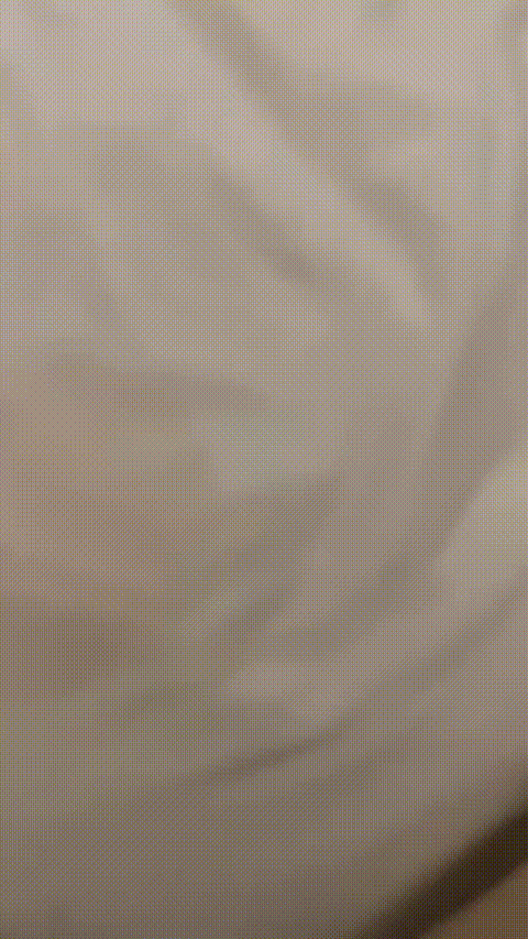 狂操母狗_20260208_150618_p80_compressed.gif