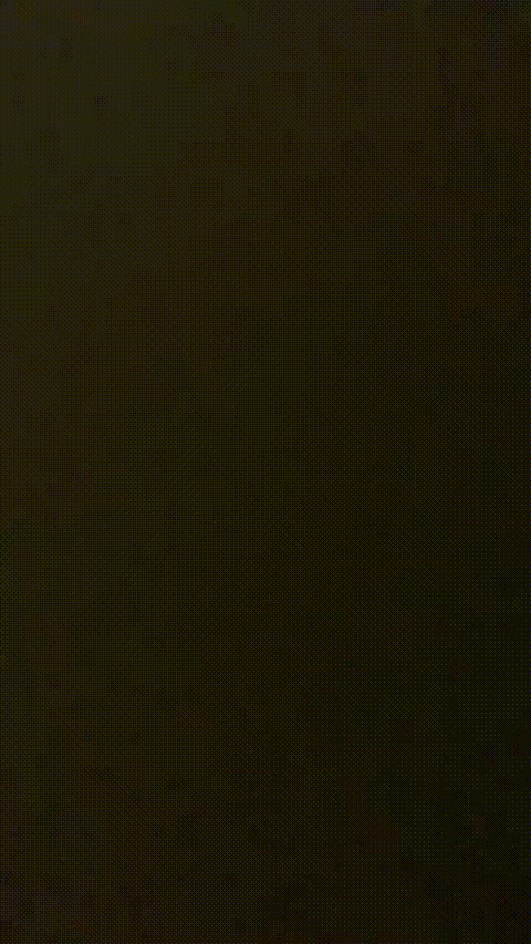 #大屁股猪猪