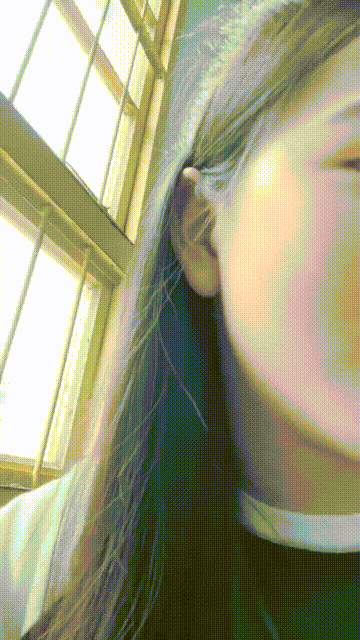 1 (8)_compressed.gif