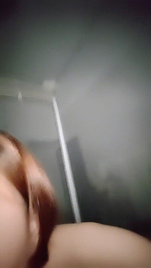 小乖_20260214_104003_p60_compressed.gif