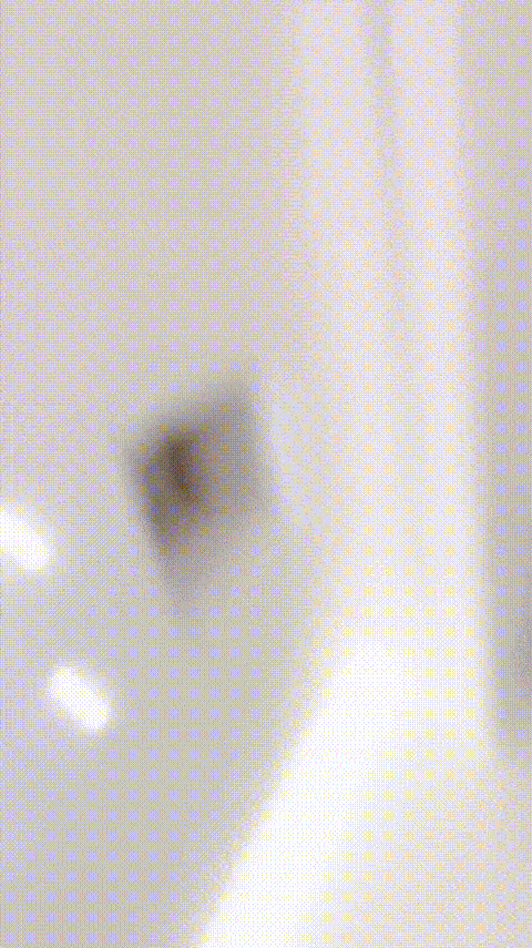黑丝秘书_ 0310-013146-903209_p80 (2).gif