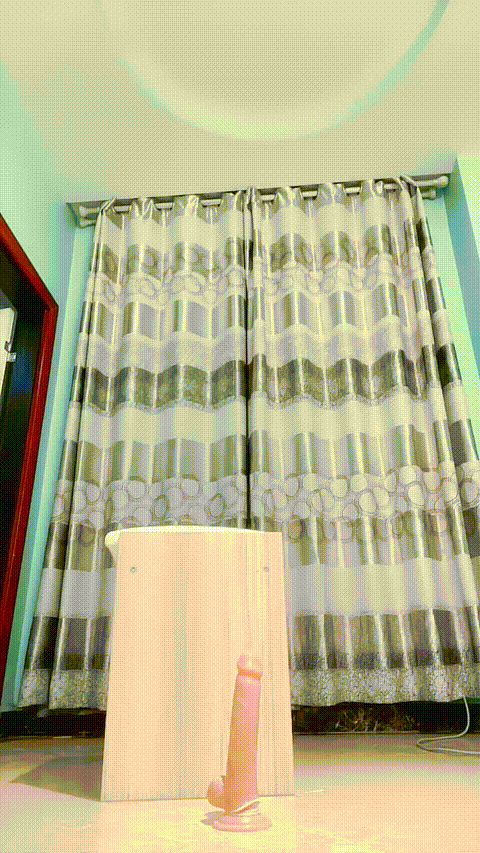 嘉嘉_20260210_102824_p60.gif