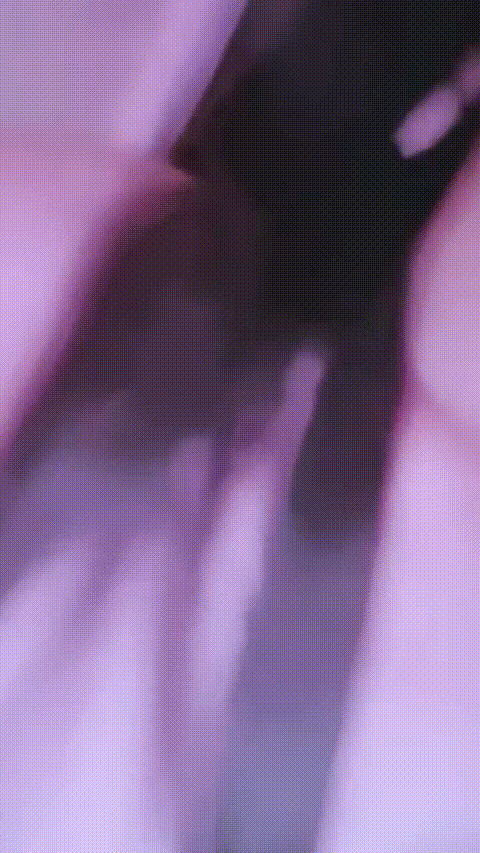 井川里予_20260209_141956_p80_compressed.gif