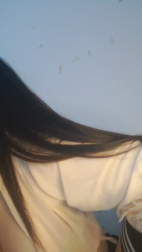 筏枝__莓果___p80_compressed.gif