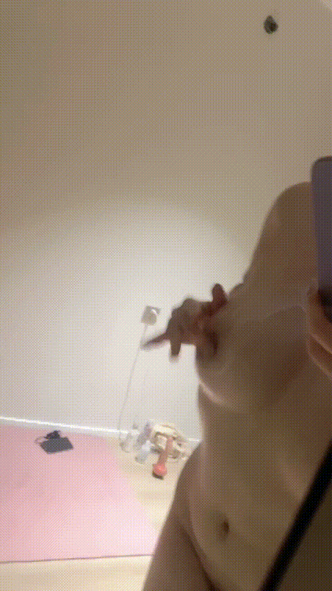宝宝_20260217_192109_p5_compressed.gif