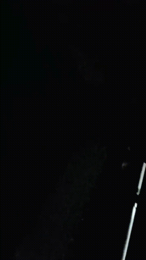 你的欲梦_20260216_180622_p60_compressed.gif