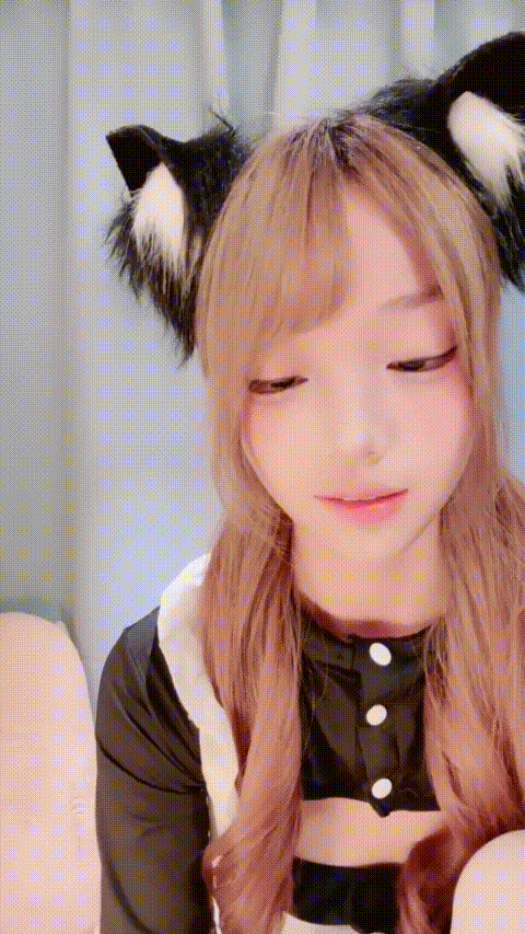 七七小新_20260208_144209_p40_compressed.gif