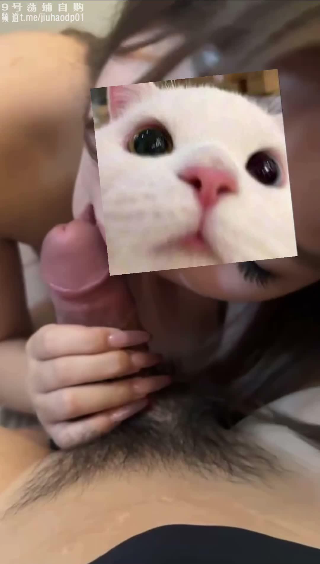 01.jpg