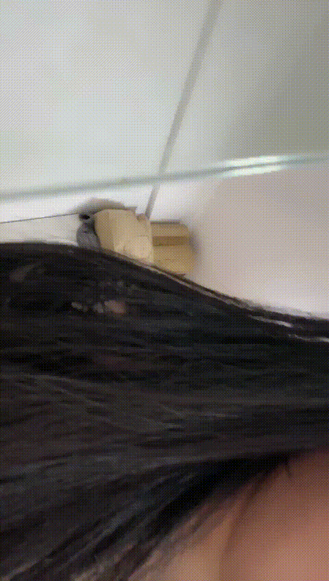#Pussy_9o98c_p20_compressed.gif