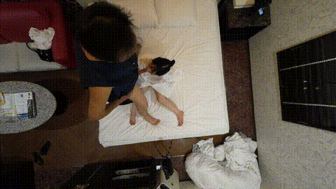 FC2PPV-4869259-3_p20.gif