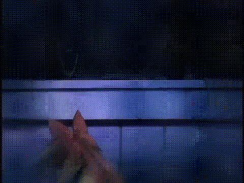 魔法少女_アイ_VOL_2_魔法少女散ル…_中文字幕 _动漫__p5.gif