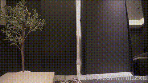 (29)_p5.gif