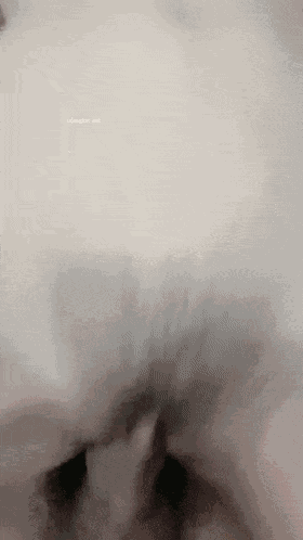 iikcv26p_compressed.gif