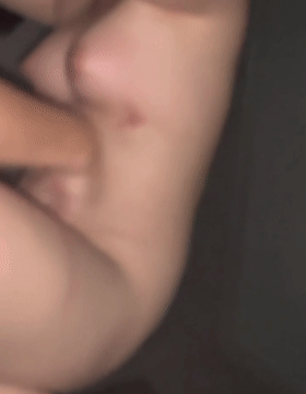 6.gif