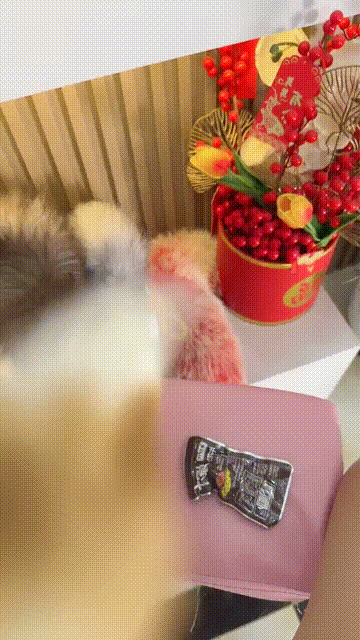 1 (1).gif
