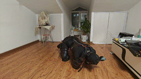 女M人形犬 犬化，k9套装，控制呼吸，息窒，让她像小狗和我用宠物按铃交流，10分钟左右.gif