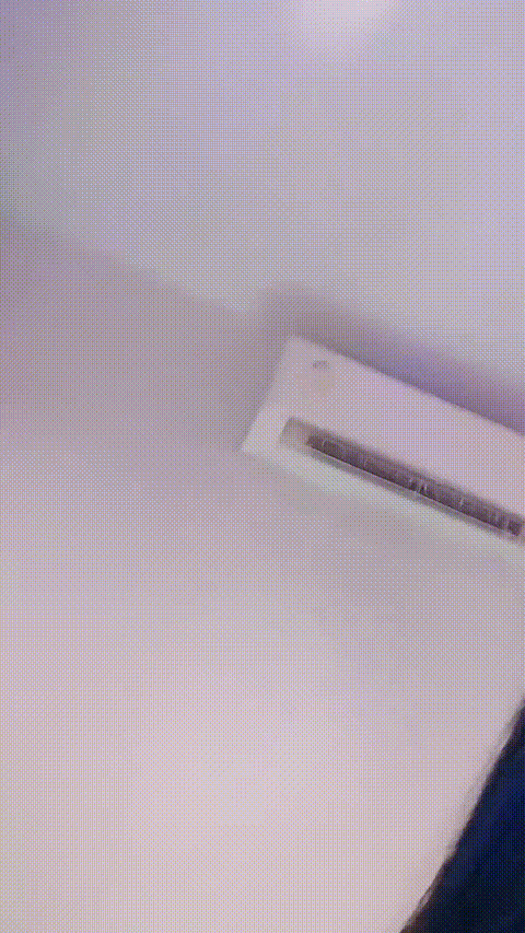 小池抚月_20260212_115704_p5_compressed.gif