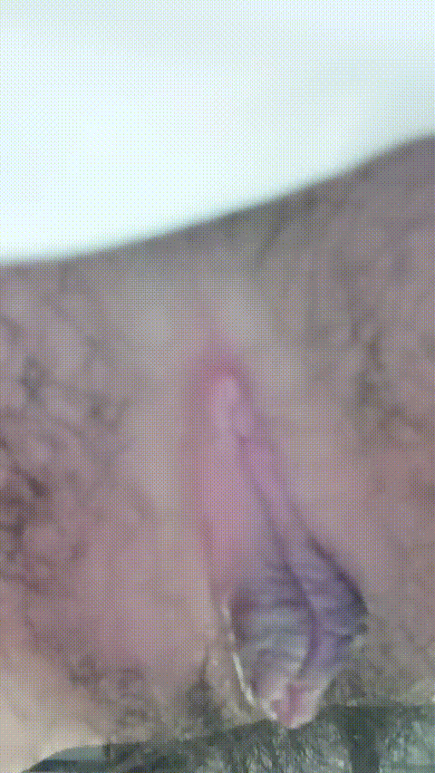 她说逼塞满了_20260211_234935_p60_compressed.gif