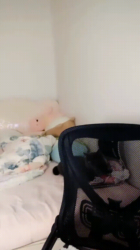 渔渔_20260208_234649_p5.gif