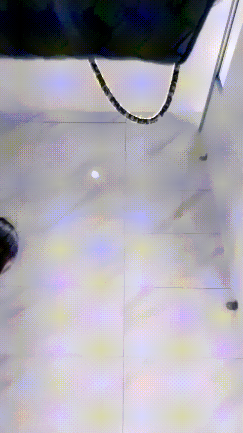 V (5)_p40.gif