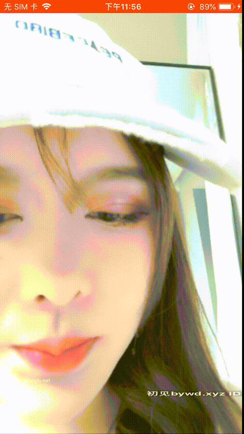 (17)_p20_compressed.gif
