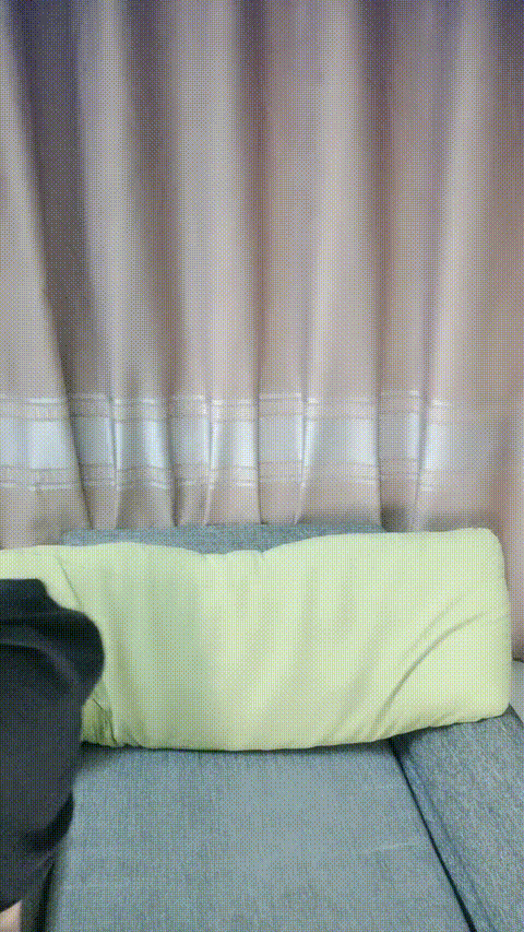37_p80.gif