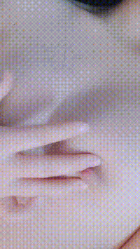 苹果柿子梨_20260209_001329_p60_compressed.gif