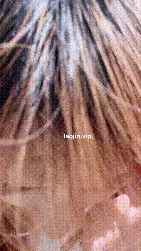 诗诗水好多_20250903-205043-458_p40 (2).gif