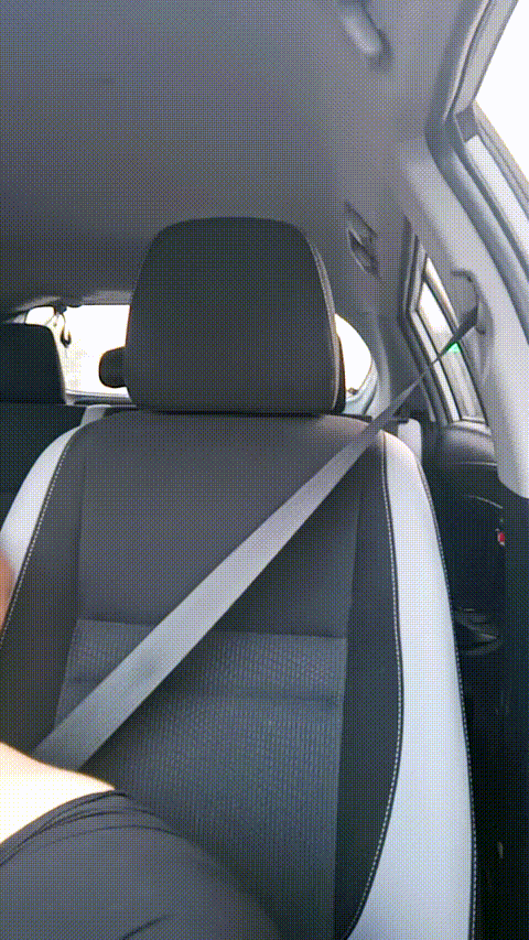 VID_20230822_071442_485_p60.gif