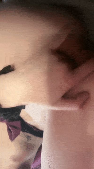 111350ae4271 (2).gif