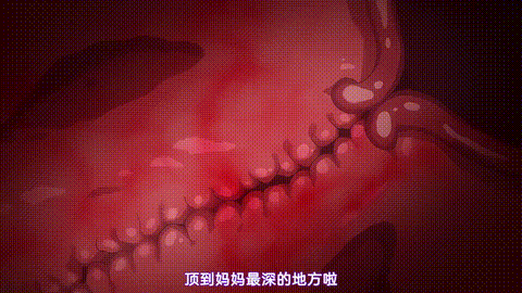 OVA_サキュバス喚んだら義母が来た!_1_中文字幕_动漫__p80.gif