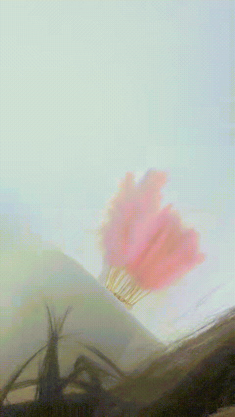 20035379_少萝_02_p80_compressed_compressed.gif