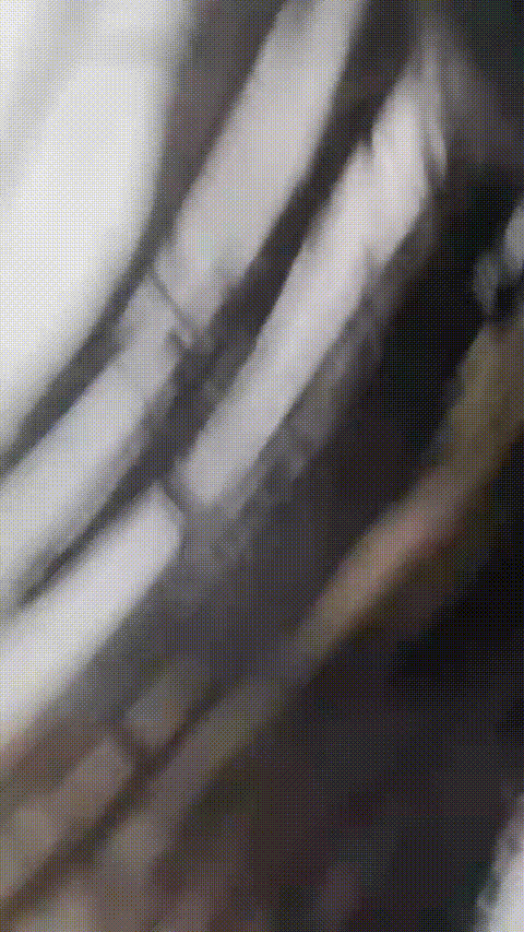 南姗_20260306_191153_p80_compressed.gif