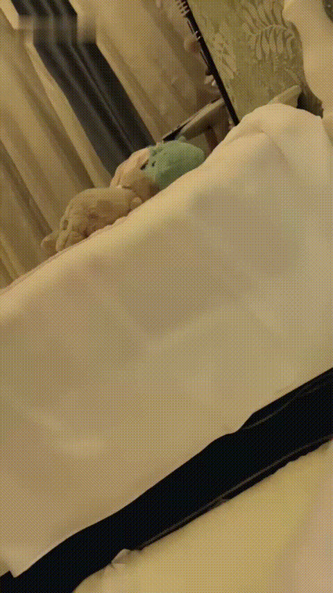 十六夜_20260209_231212_p60.gif