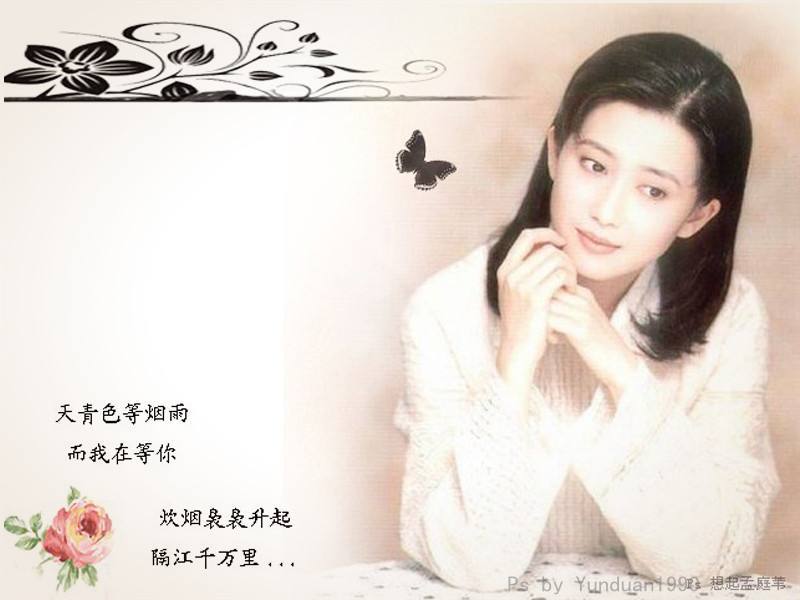 孟庭苇.jpg