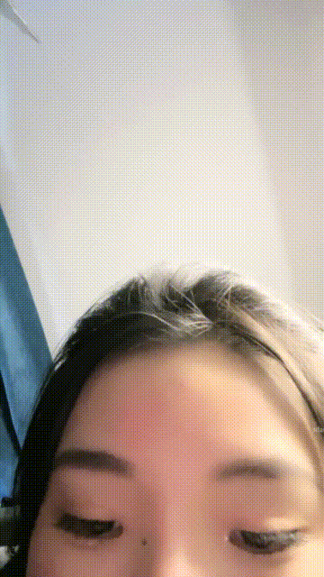 1 (4)_compressed.gif