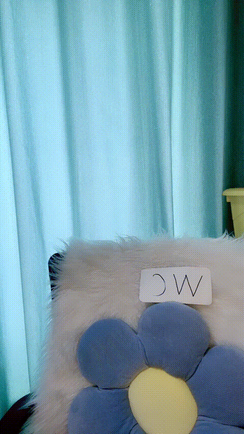 vlc_record_2023_06_07_12h04m55s_cx___p80.gif