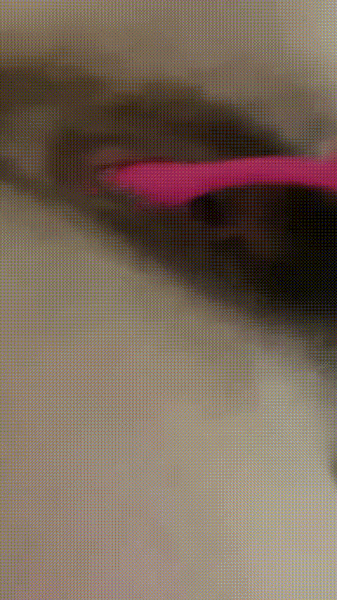 狂操母狗_20260208_150618_p40_compressed.gif