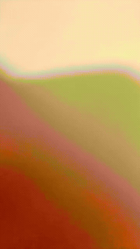 19小米粒_20260211_121449_p40_compressed.gif