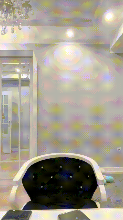 VID_20230831_201237_927_p80.gif