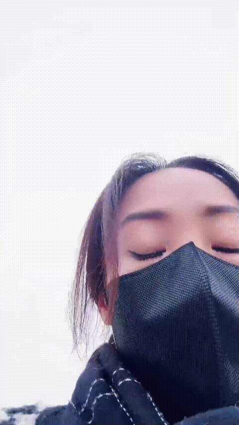 V (2)_p5_compressed.gif