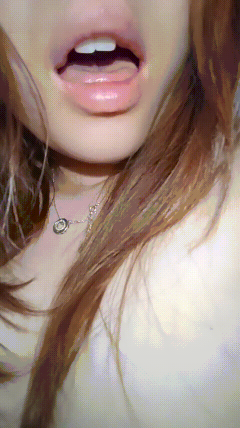 小乖_20260214_104023_p80_compressed.gif