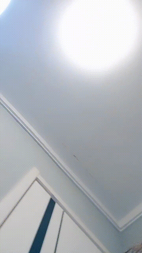 0 (6).gif