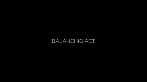 Balancing Act_p5.gif