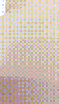 k1405_compressed.gif