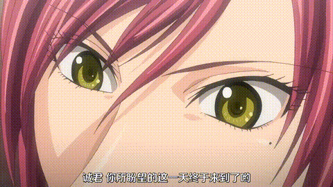 STARLESS_IV_淫蕩な饗宴_[中文字幕]_p80.gif