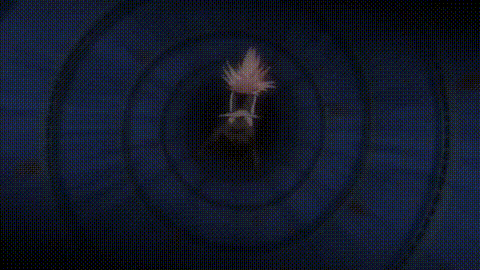 マジカルウィッチアカデミーボクと先生のマジカルレッスンTHE_ANIMATION_LECTURE_2「.gif